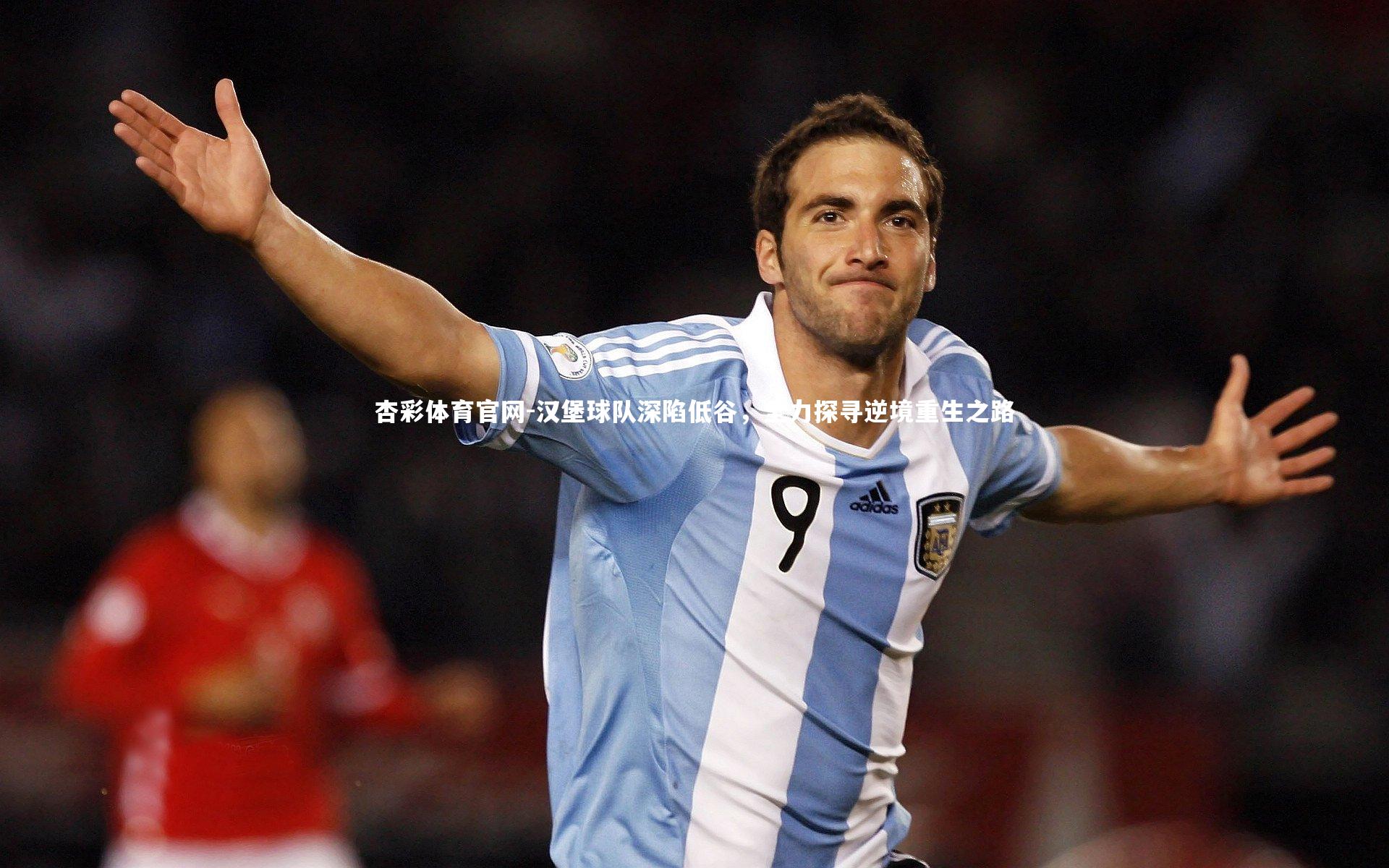 杏彩体育官网-汉堡球队深陷低谷，全力探寻逆境重生之路